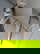 item-188173862=10