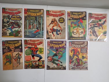 The Amazing Spider-Man 1966 Marvel Comic Books