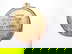 item-208678672=3