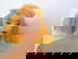 item-208678777=11