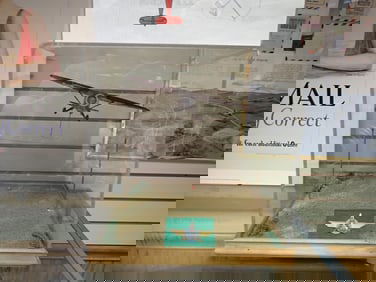 All American Aviation Airmail Pick up Flags