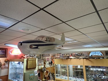 The "Swift" Radio Controlled Airplane (Plastic)