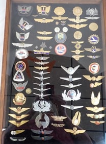 Airline Pins & Insignia