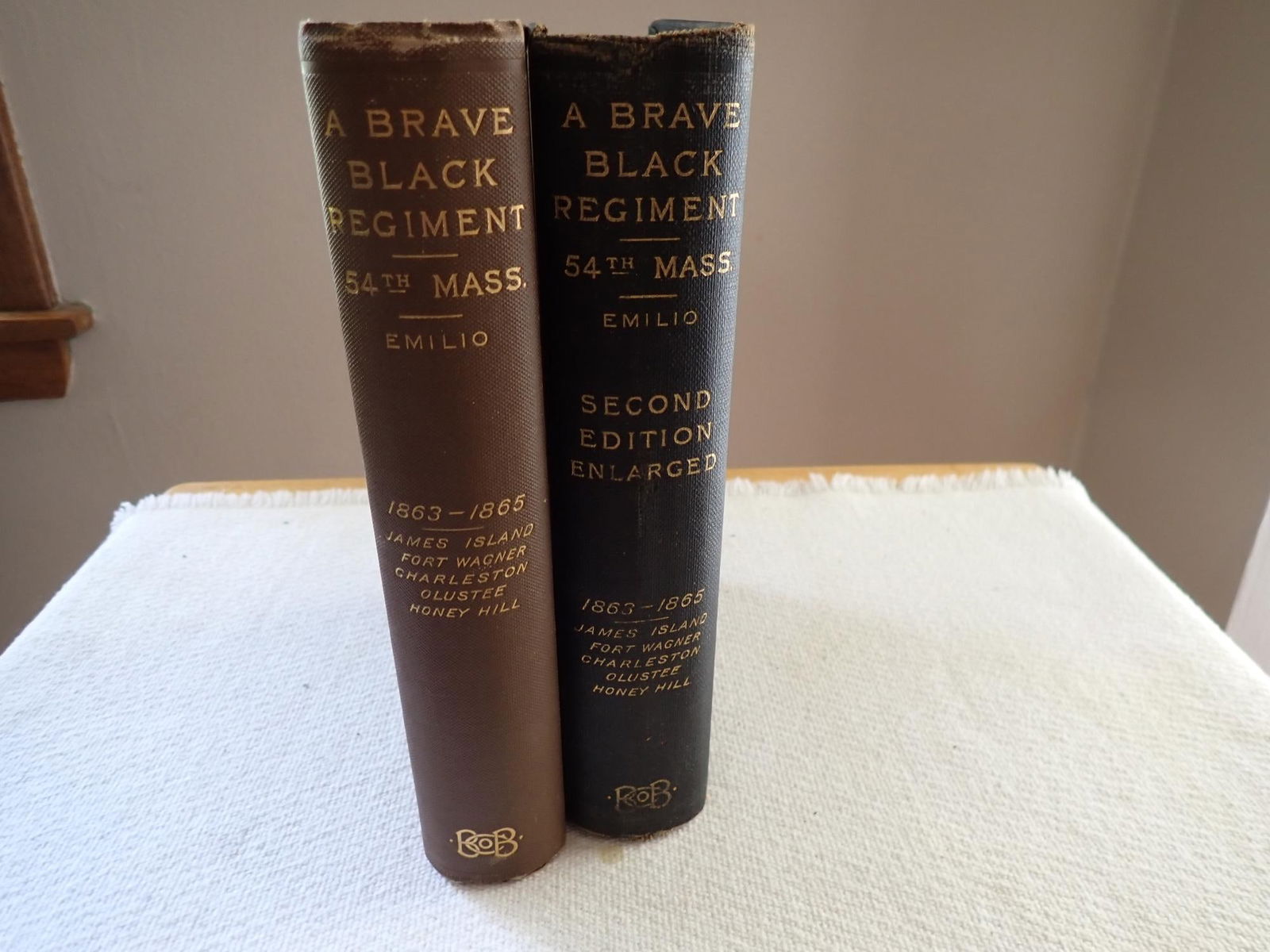 Brave Black Regiment 54th Mass (1 of 20)