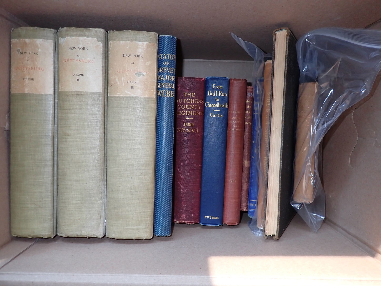 New York related Civil War books (1 of 20)