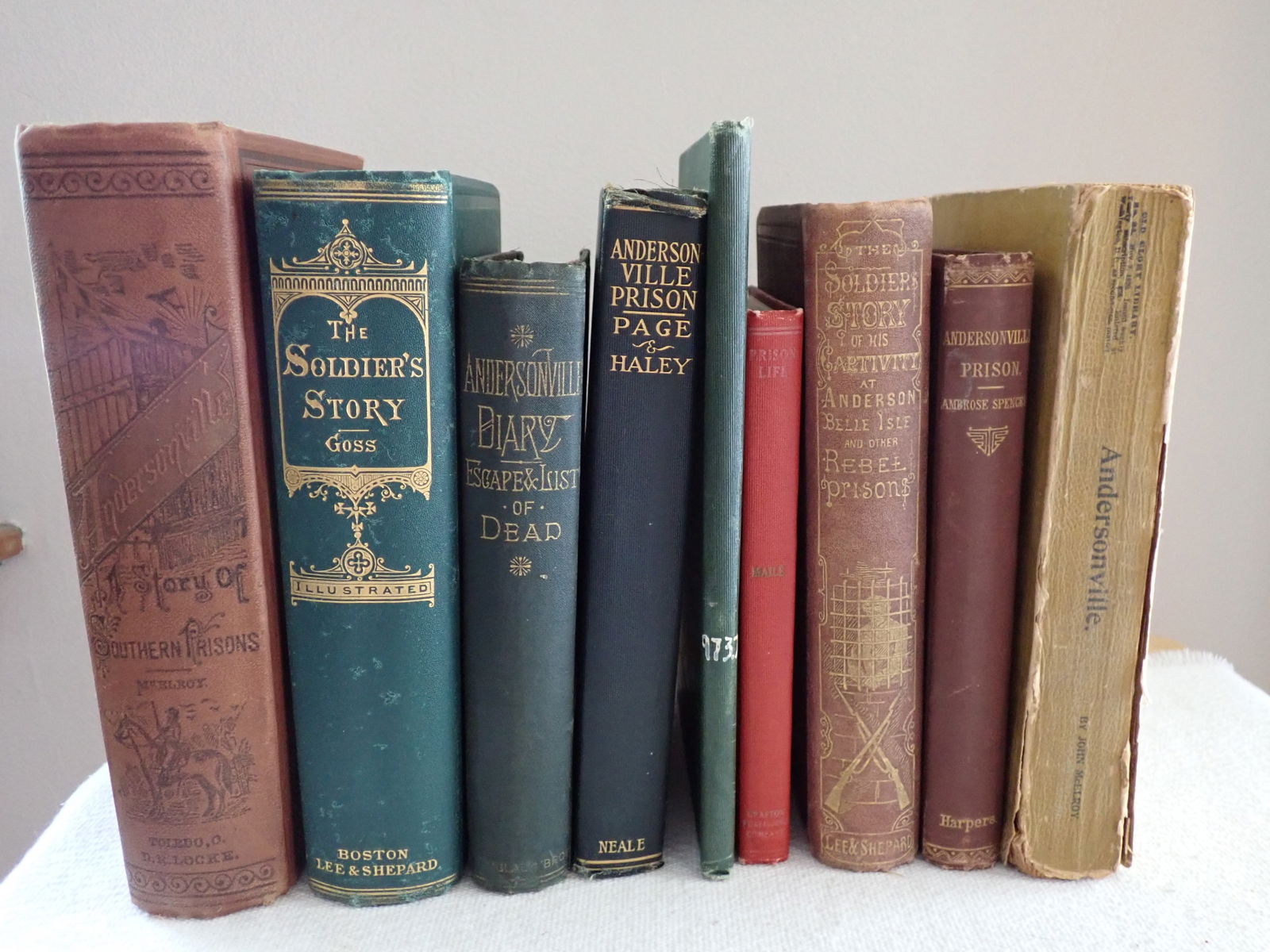 Andersonville Prison related books (1 of 19)