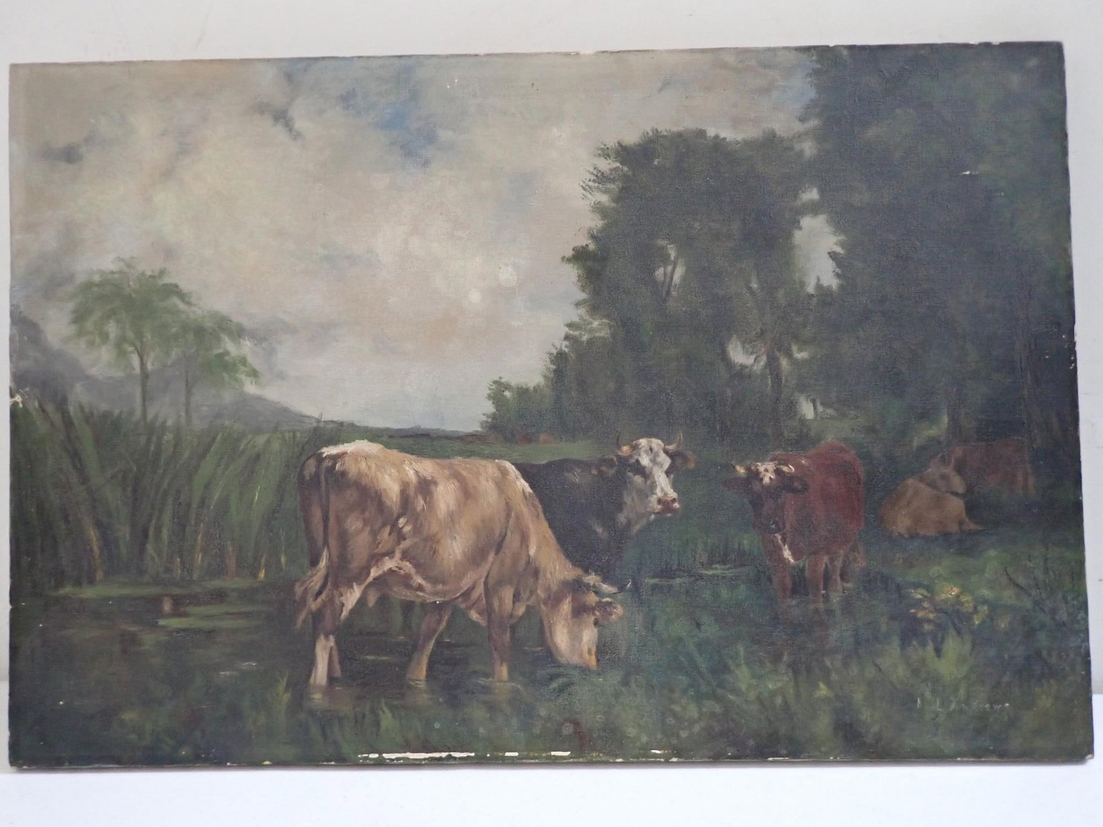 Cow O/C Painting signed Andrews: 14 1/2" x 21 1/2." Unframed. Some paint loss in spots.