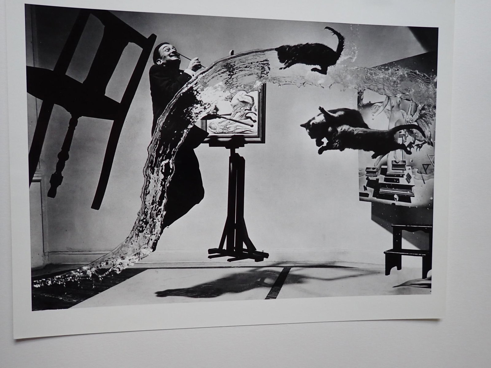 Dali Atomicus Halsman Portfolio 12/250: Philippe Halsman silver gelatin print of Dali, 3 cats, water, an easel, and chair flying through the air. 14" x 11" and matte is 20" x 16." Limited edition 12/250.