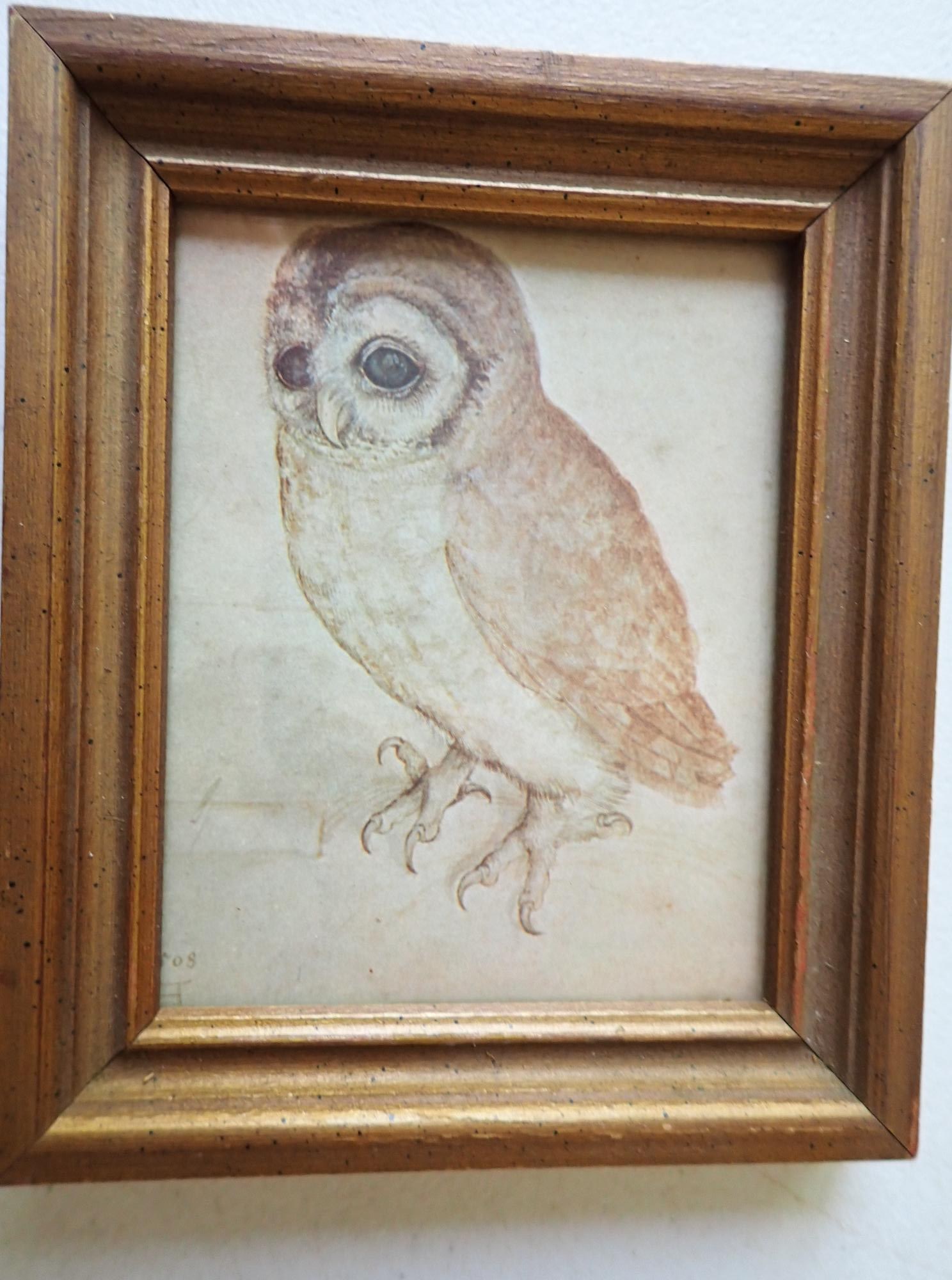 Small Framed Owl Print: Frame 6" x 5."