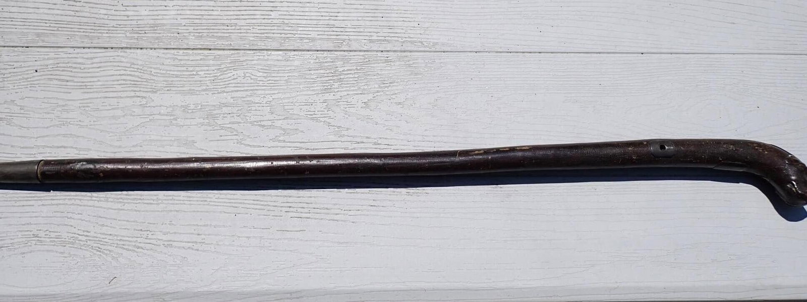 Presentation Cane from Henry Clay Tree - 10