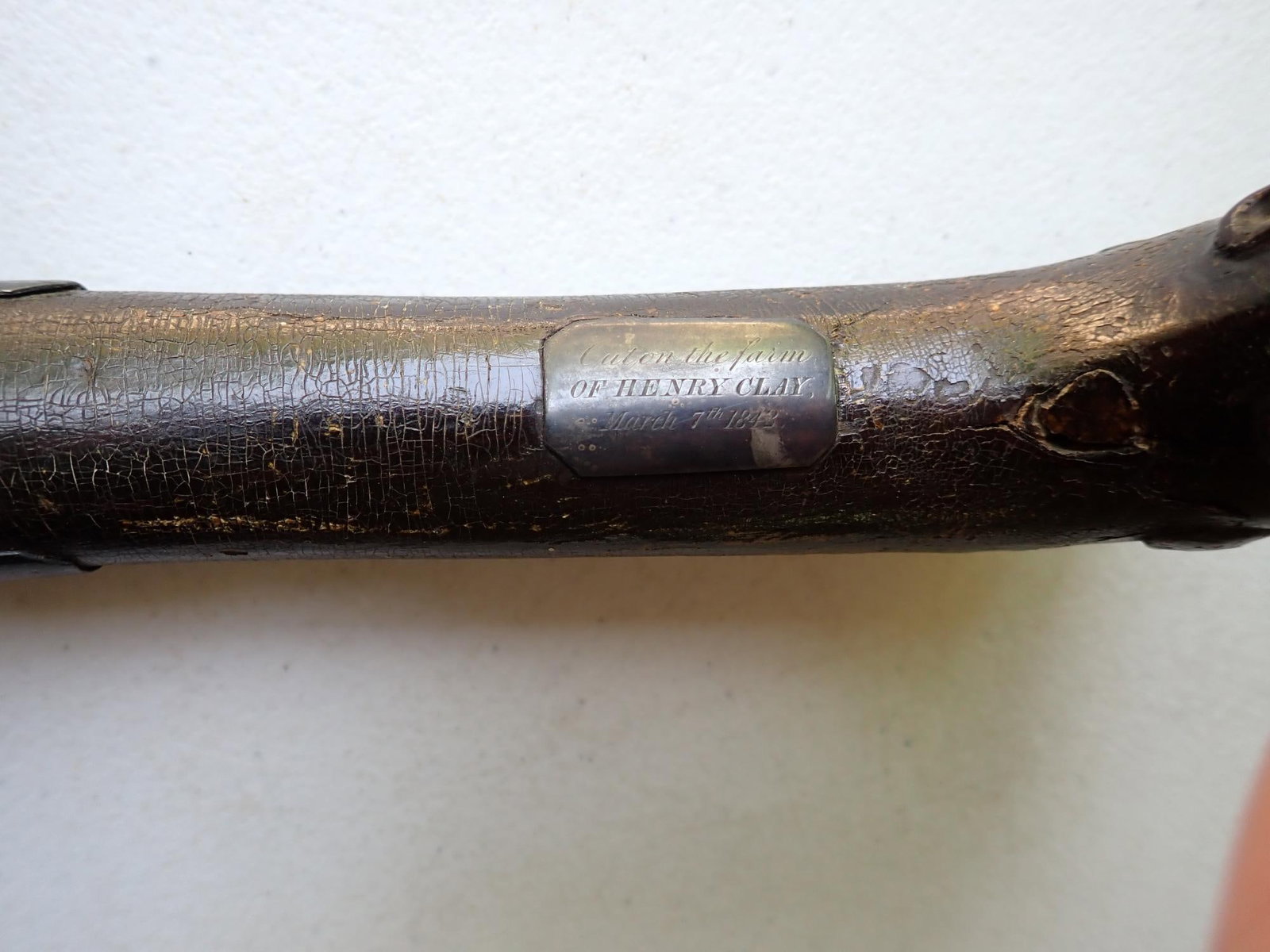 Presentation Cane from Henry Clay Tree - 11