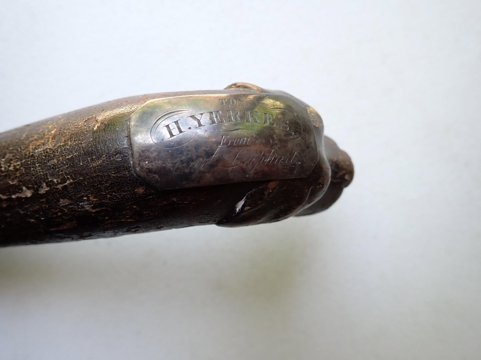 Presentation Cane from Henry Clay Tree - 12