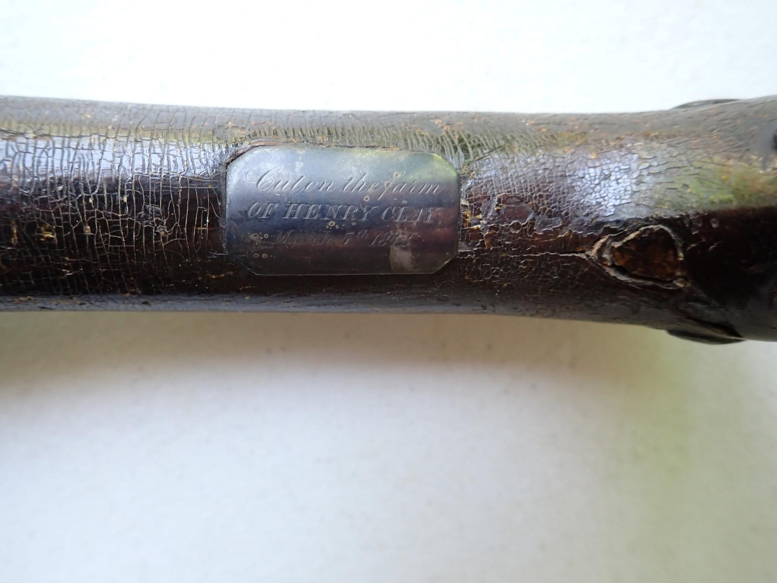Presentation Cane from Henry Clay Tree - 13