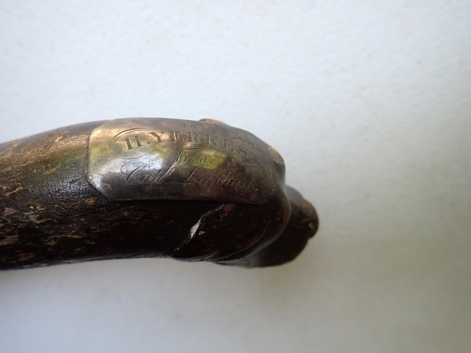 Presentation Cane from Henry Clay Tree - 14