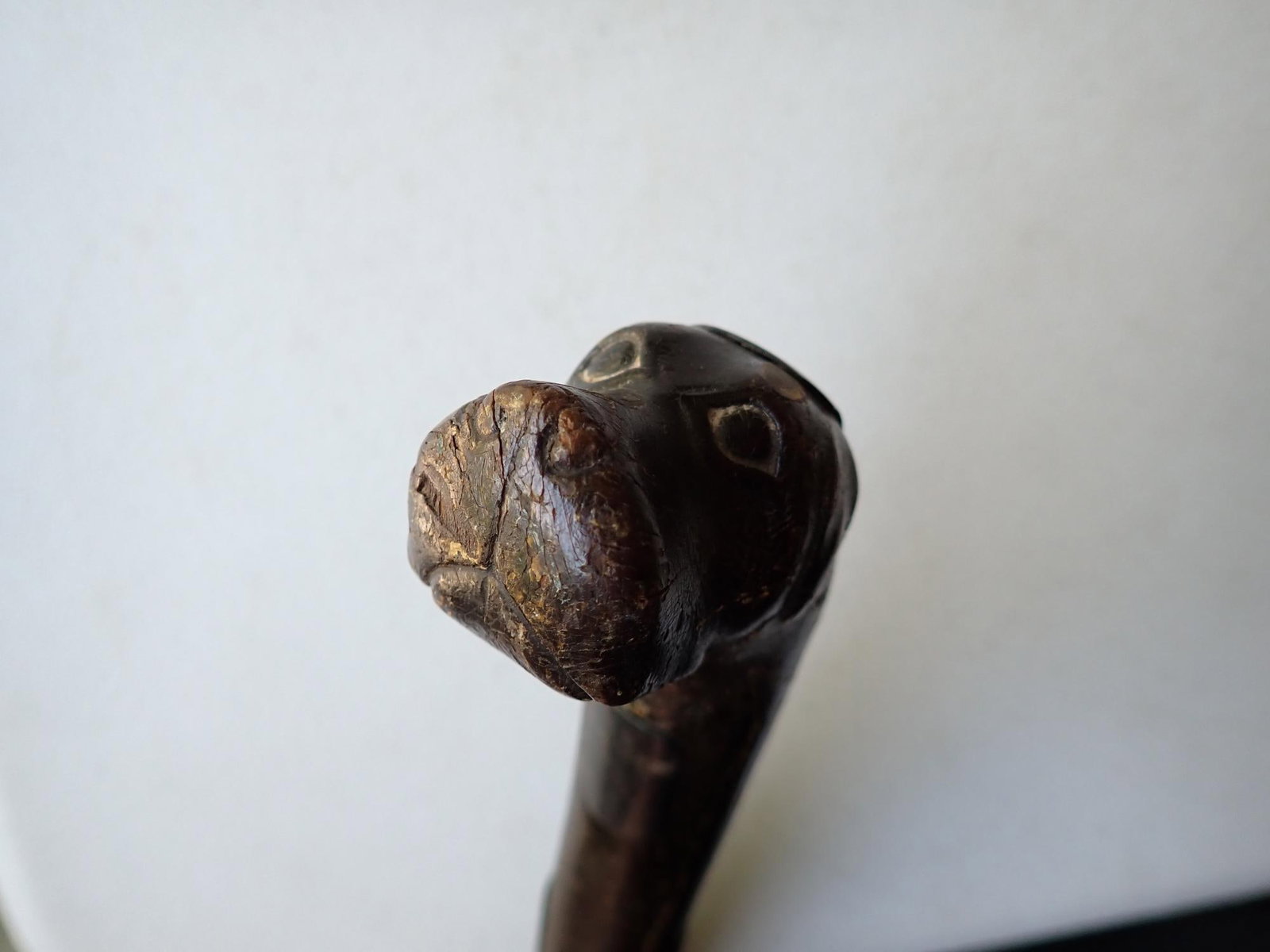 Presentation Cane from Henry Clay Tree - 15