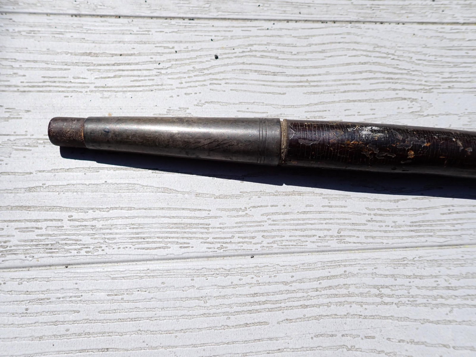Presentation Cane from Henry Clay Tree - 5