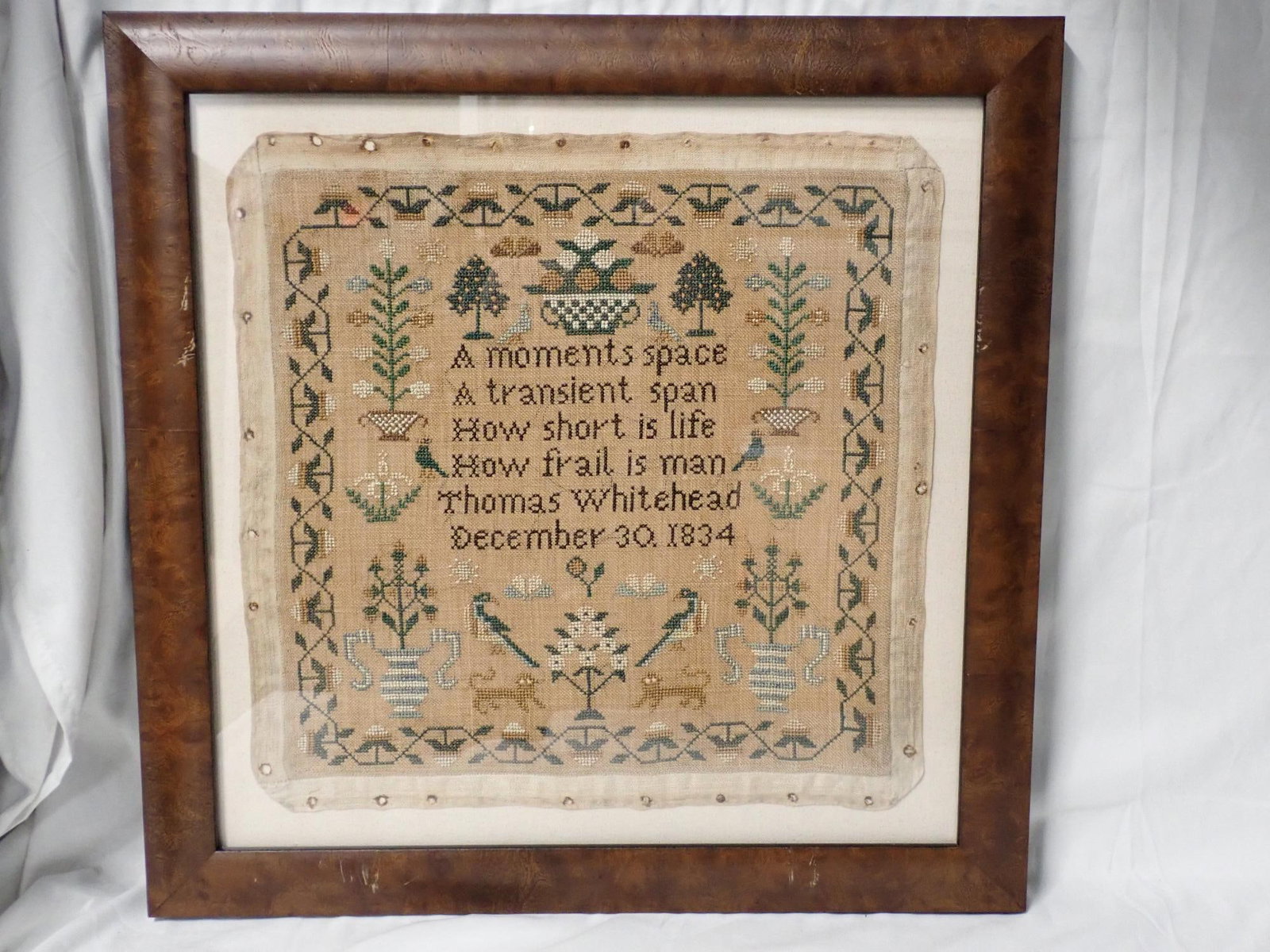 1834 Thomas Whitehead Sampler: Thomas Whitehead Sampler December 30 1834 depicting verse, cats flowers. small uniform holes all around border. Fabric discoloration Frame 19" x 19" sampler 14" x 14"
