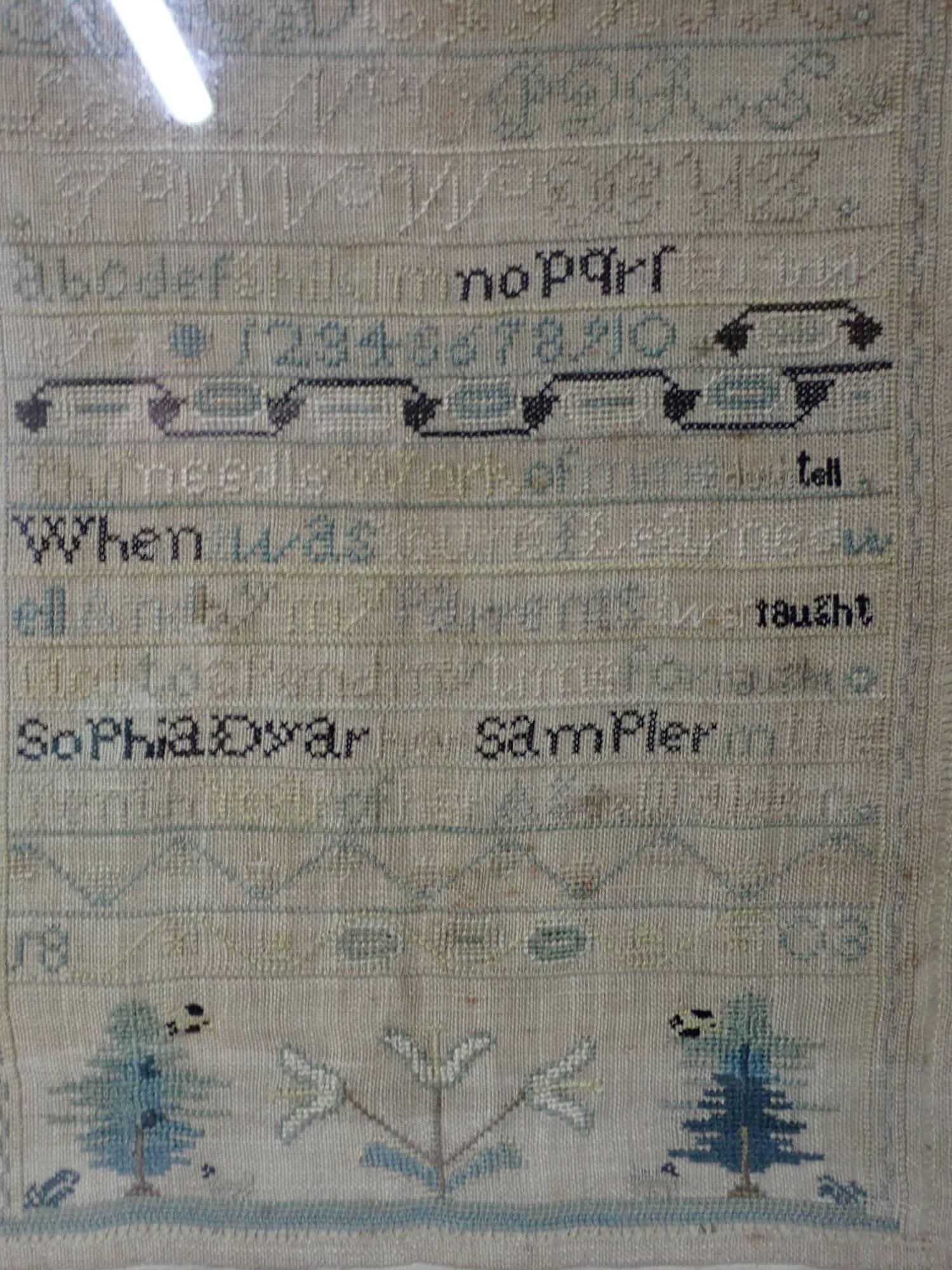 1803 Sophia Dyar Sampler - 2