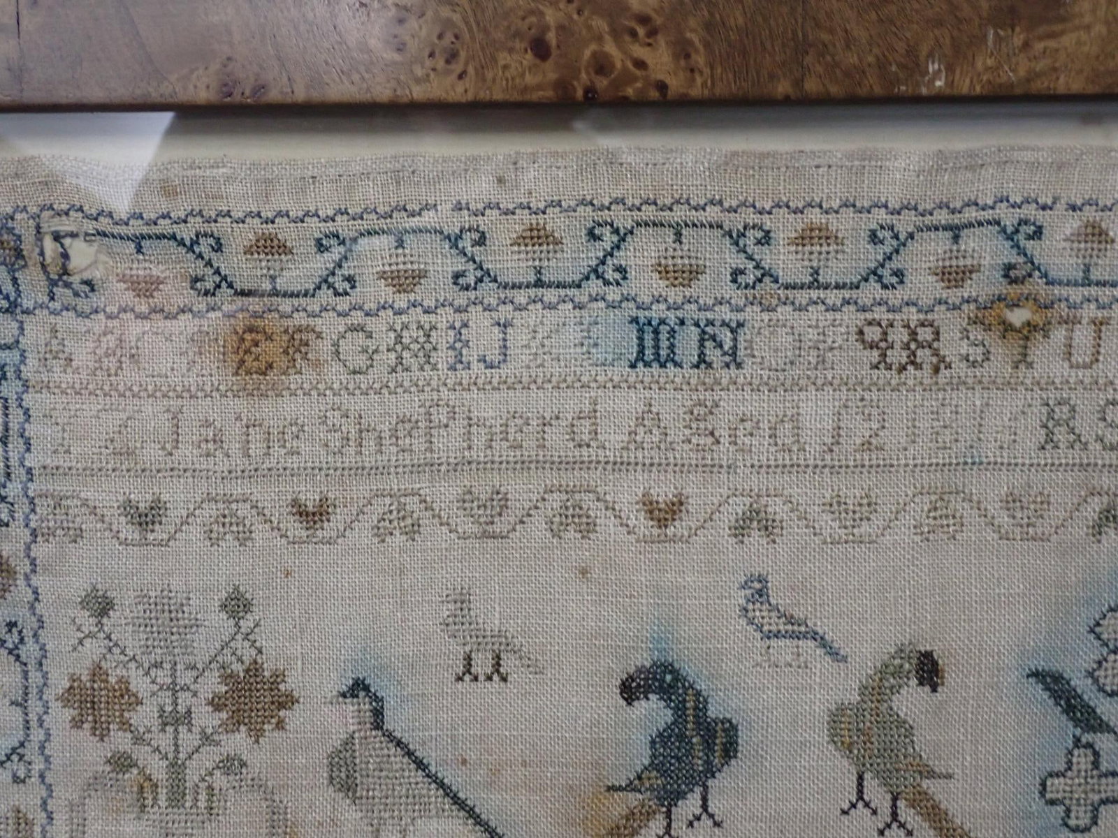 1816 Jane Shepherd Sampler - 9