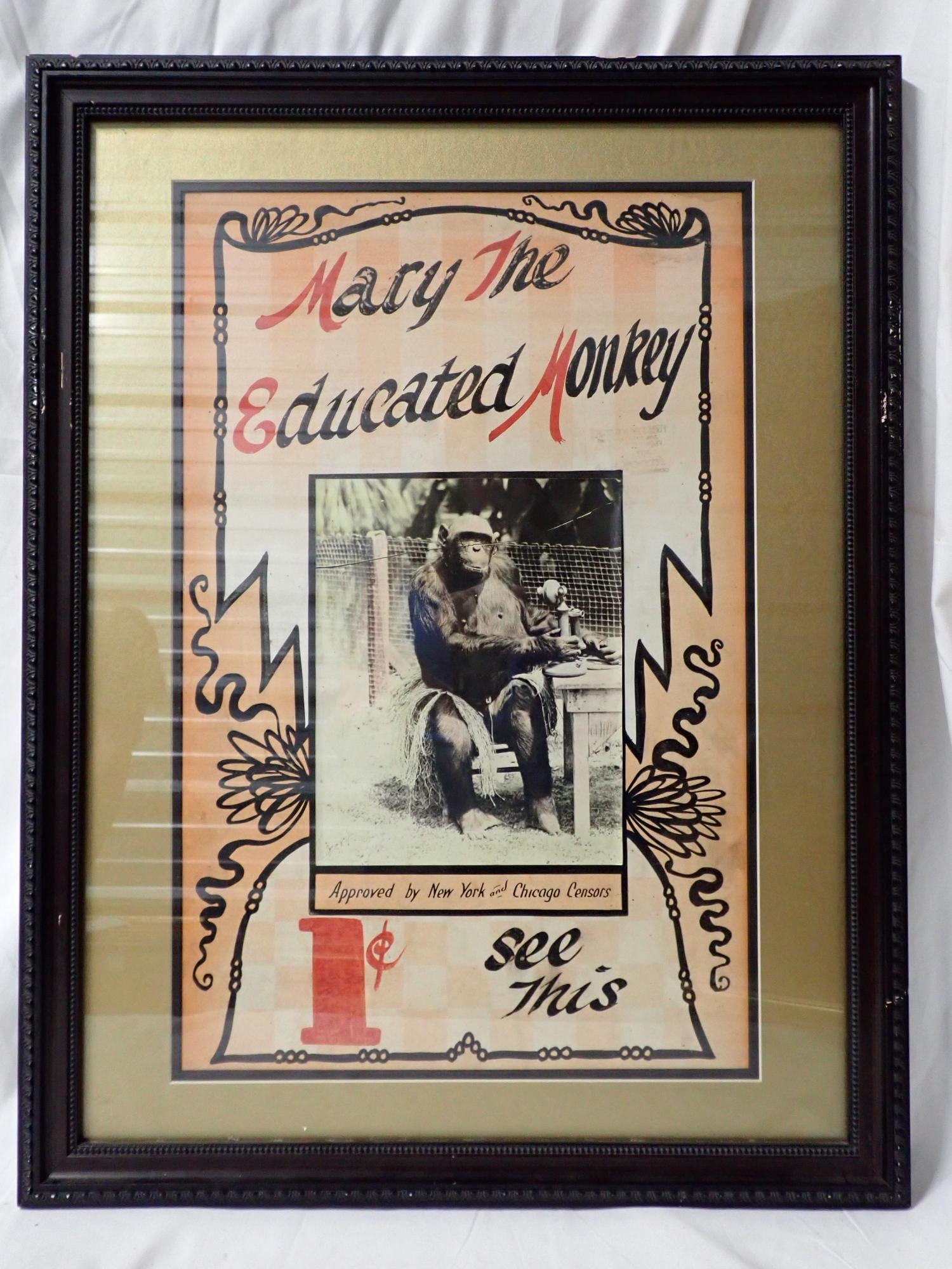 Mary the Educated Monkey: Poster overall good condition. Photo on poster has line through monkey's face. Full set of cards good condition. Frame 26" x 20". Poster 21" x 13". The consigner states that these items were acquired