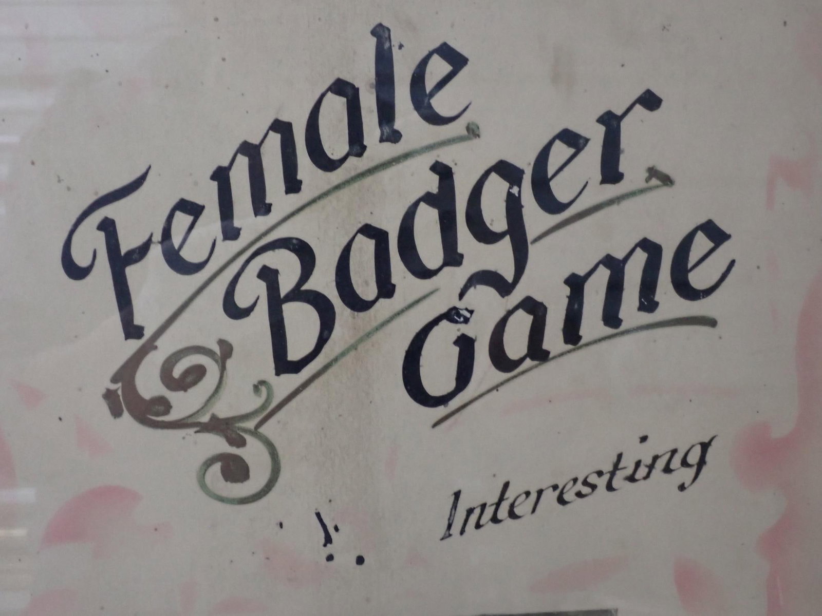 Female Badger Game - 3
