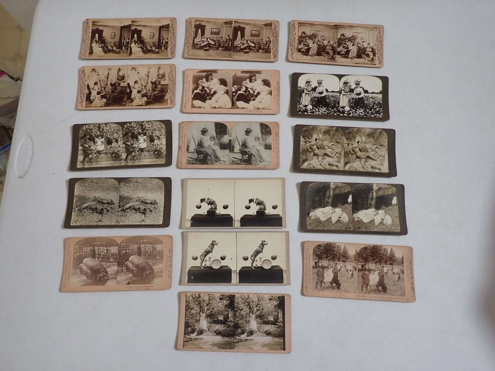 89 cards children, pets animals - 6