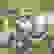 item-105622442=5