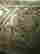 item-105703611=3