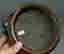 item-110490610=7
