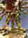 item-110490786=4