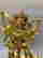 item-110490786=7