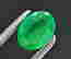 item-115456621=5