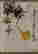 item-128272420=2