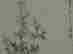 item-128318446=3