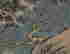 item-128318842=3