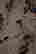 item-128319261=4