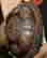 item-130752944=4