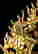 item-130752969=3