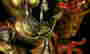 item-130752969=5