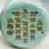 item-130752976=6
