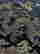 item-130752983=4