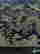 item-130752983=5