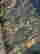 item-130752983=6