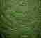 item-130752994=7
