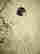item-130753110=2