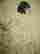 item-130753110=5