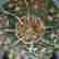 item-130753115=4