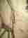 item-130781539=4