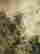 item-130781543=2
