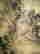 item-130781543=6
